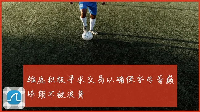 雄鹿积极寻求交易以确保字母哥巅峰期不被浪费