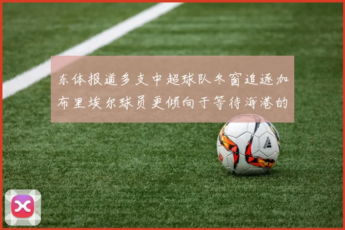 东体报道多支中超球队冬窗追逐加布里埃尔球员更倾向于等待海港的机会